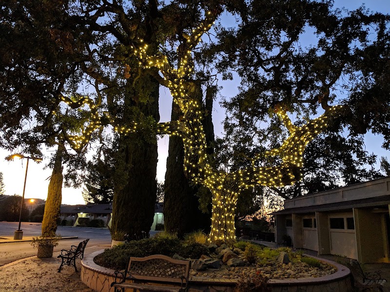 Clayton Valley Church photo 3