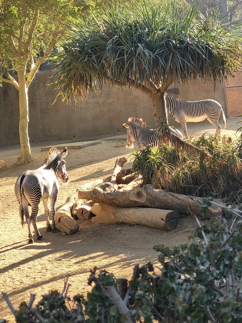 Los Angeles Zoo photo 5
