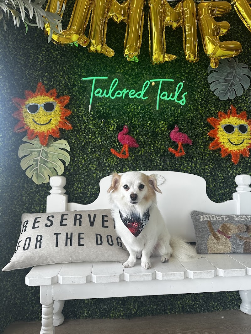 Tailored Tails Grooming | San Mateo & Belmont Dog Grooming photo 2