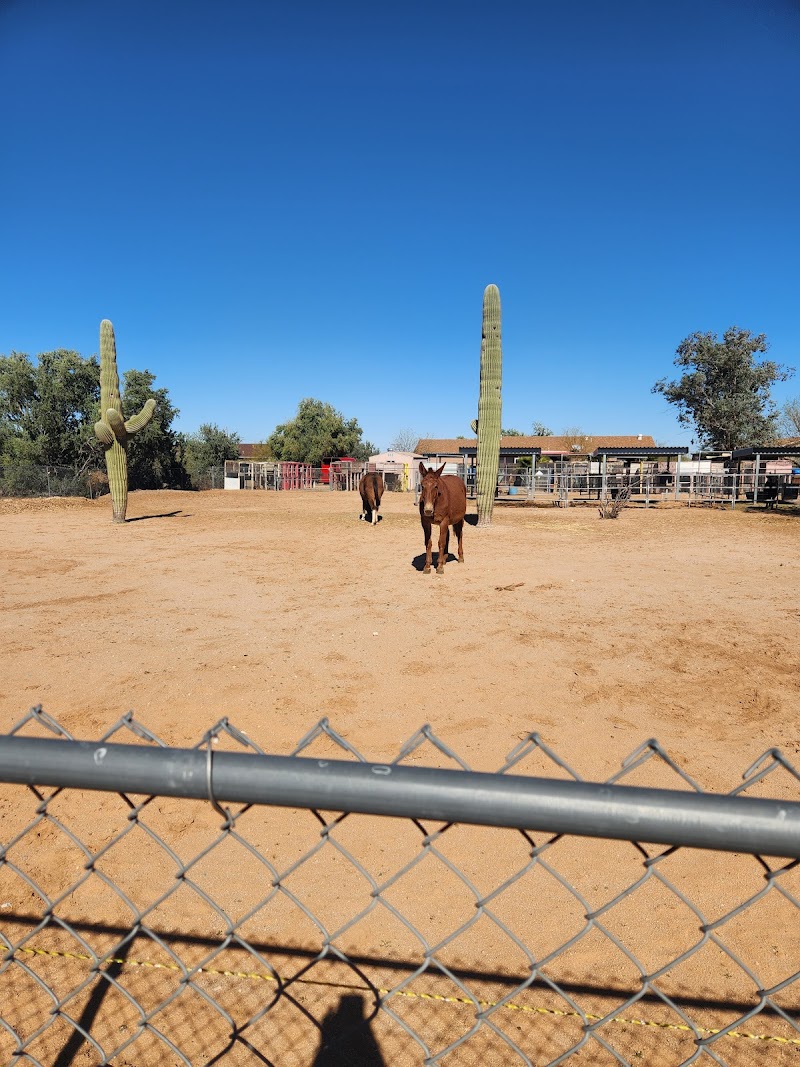 Photo of Navajo reservation