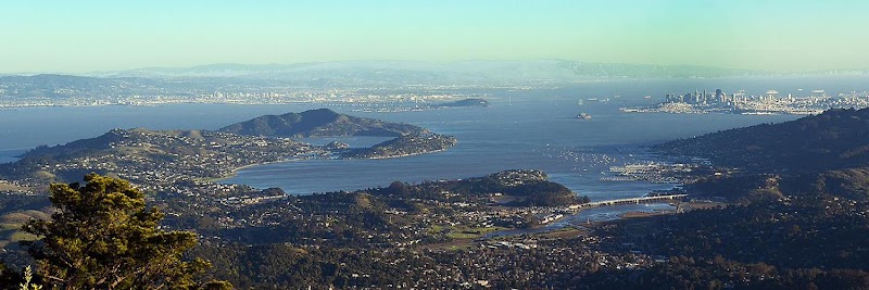 Homes of Marin | Jeff Sterley | DRE 00494655 | REALTOR® | COMPASS photo 2