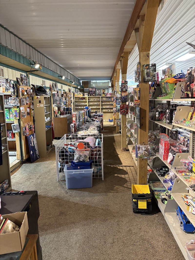 The Treasure Trove Toy Store photo 4