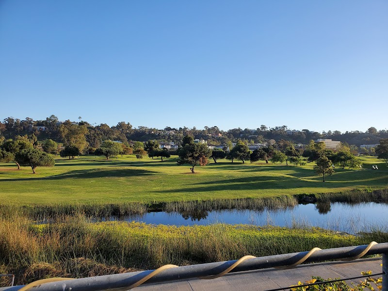 The Loma Club photo 3