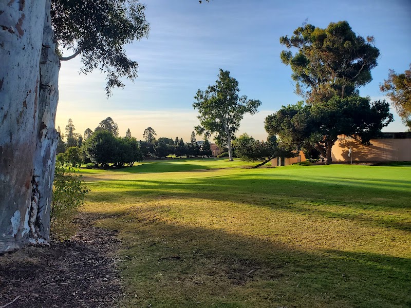 The Loma Club photo 2