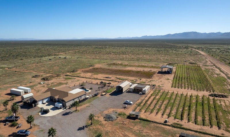 High Lonesome Vineyard photo 4