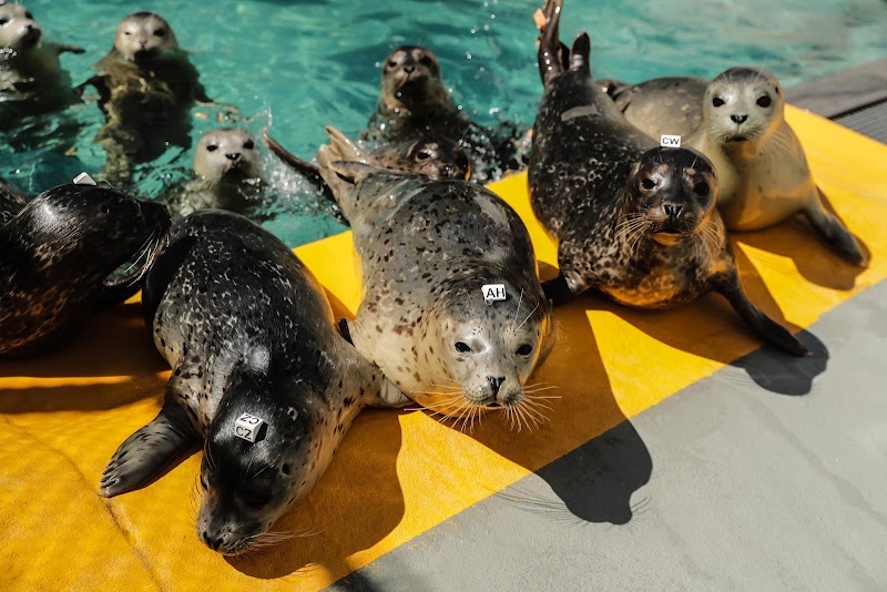 Photo of The Marine Mammal Center
