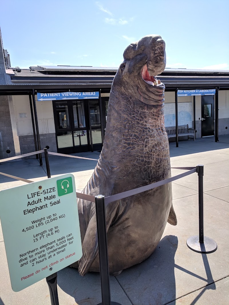 The Marine Mammal Center photo 5