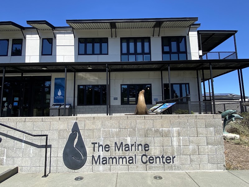 The Marine Mammal Center photo 2