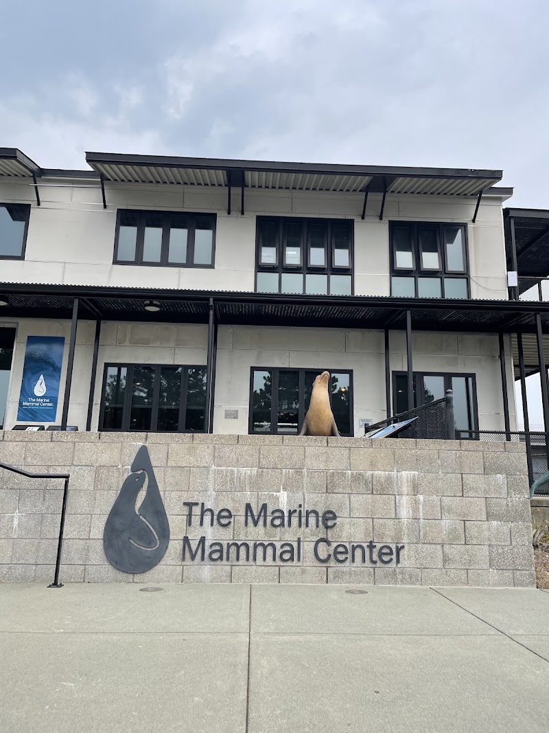 The Marine Mammal Center photo 3