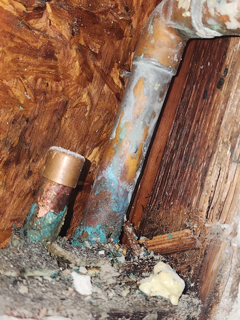 Elite Plumbing Services, Inc. photo 5