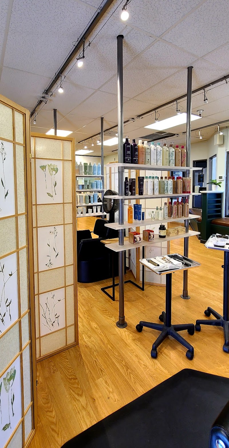 Photo of MiVida Salon