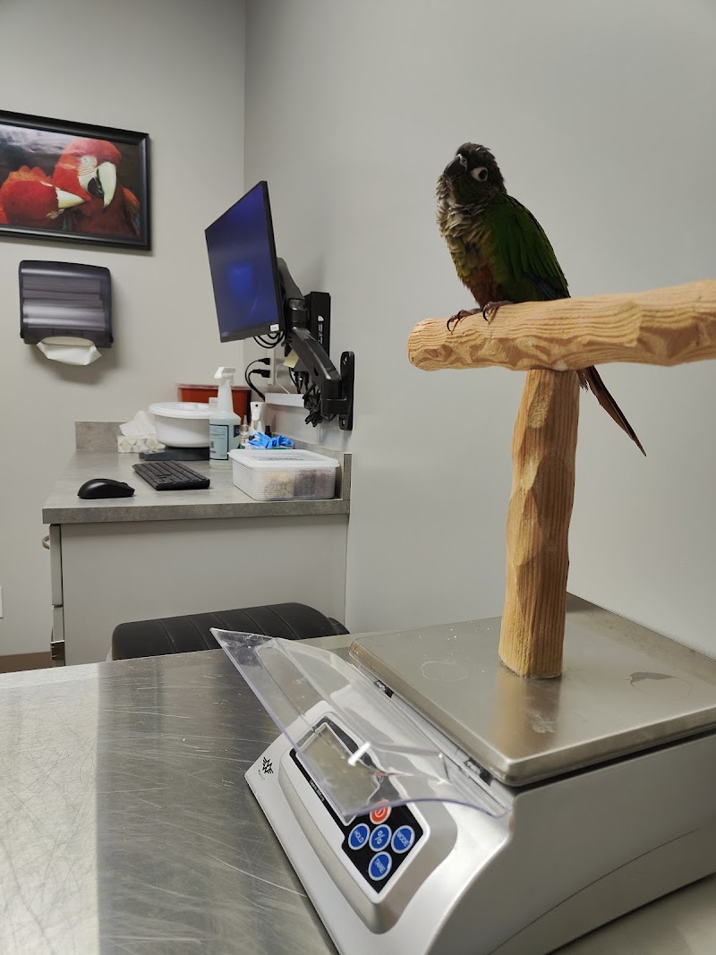 Photo of Medical Center For Birds