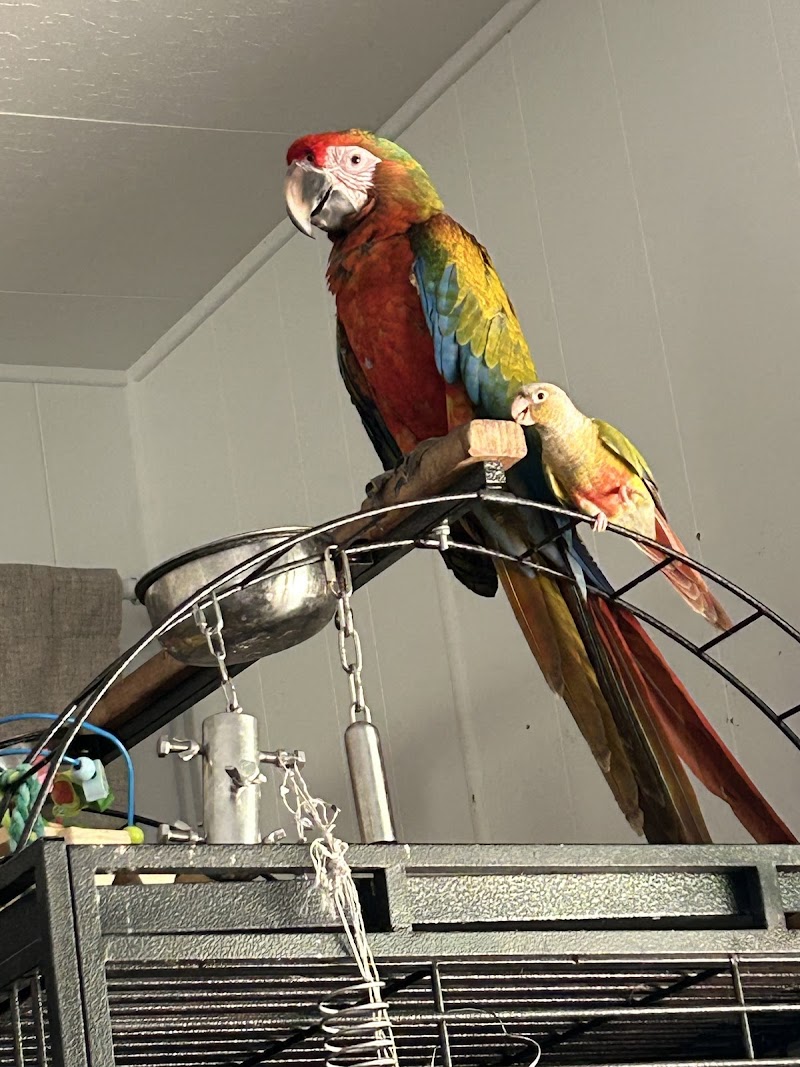 Medical Center For Birds photo 3
