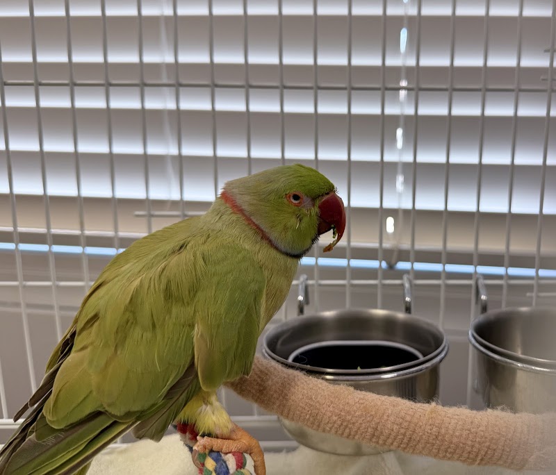 Medical Center For Birds photo 5