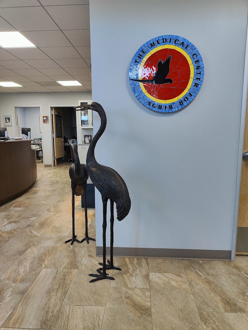 Medical Center For Birds photo 2