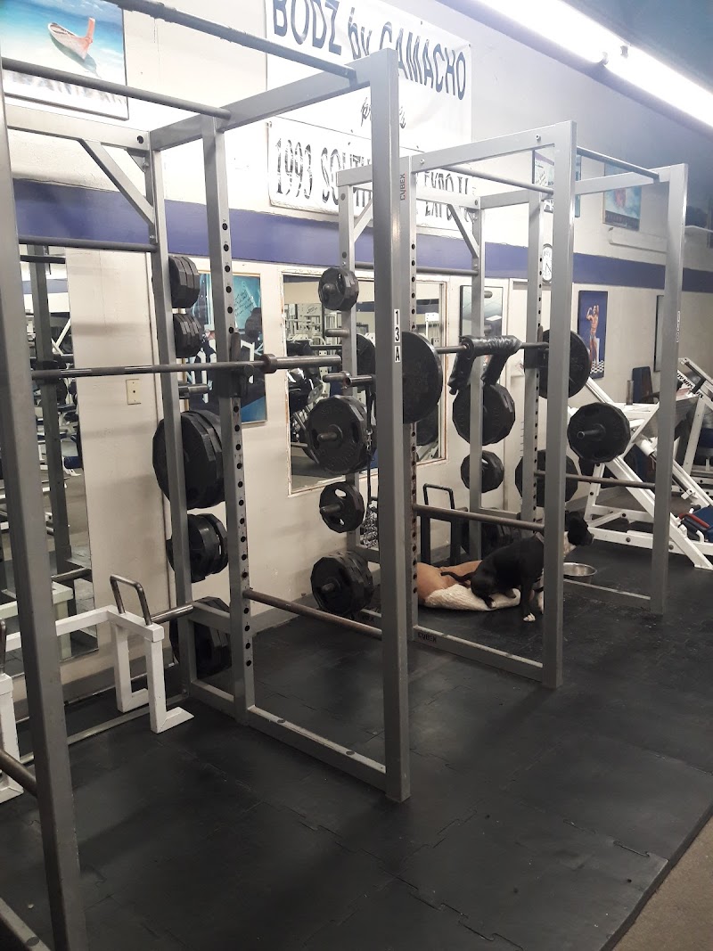Photo of Muscle House Gym