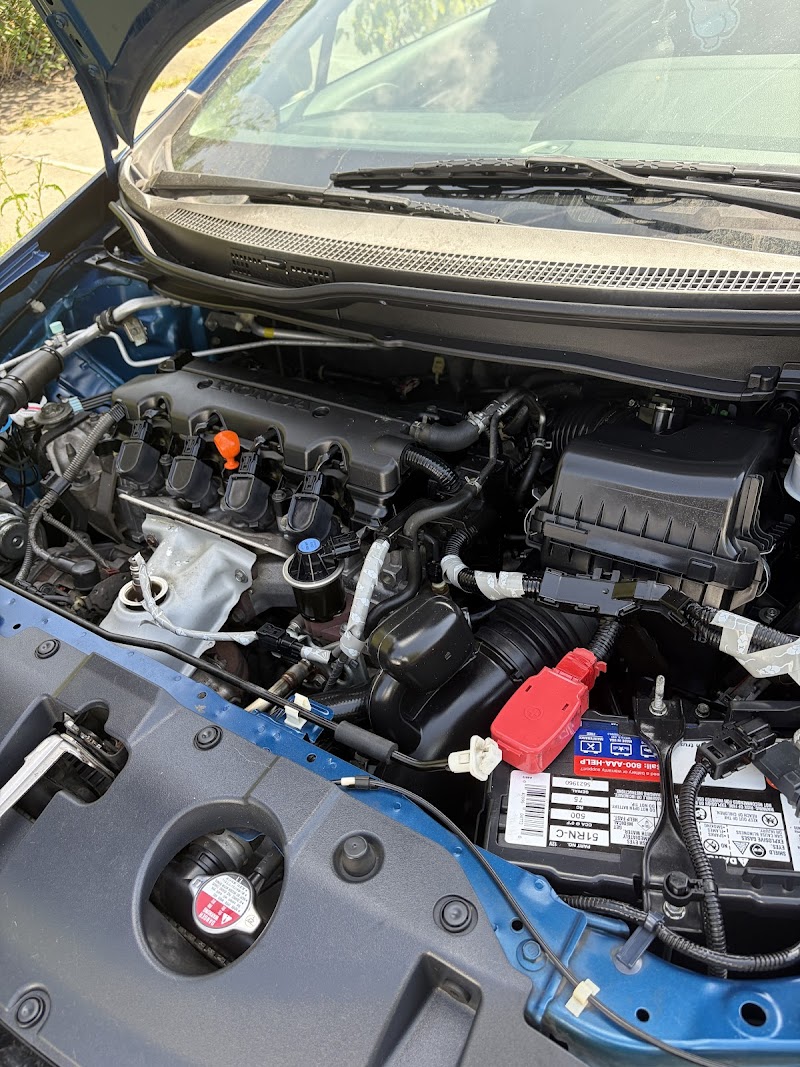 XLNC Auto Beauty photo 5