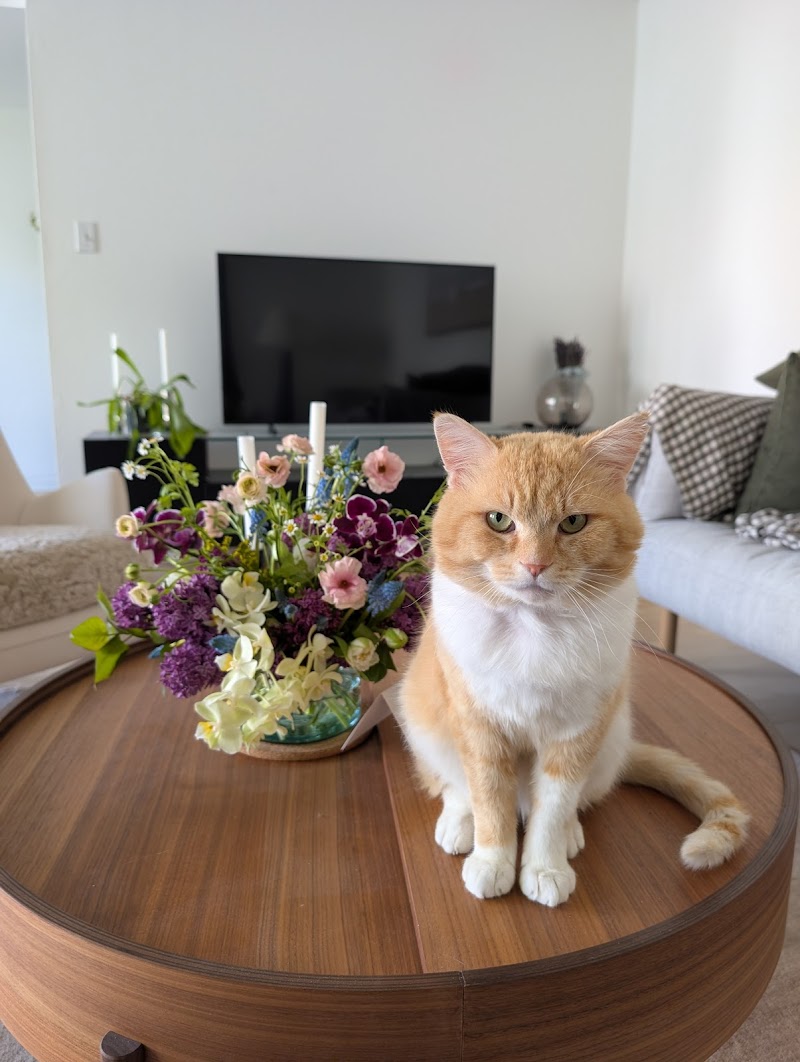 belle-flower photo 5