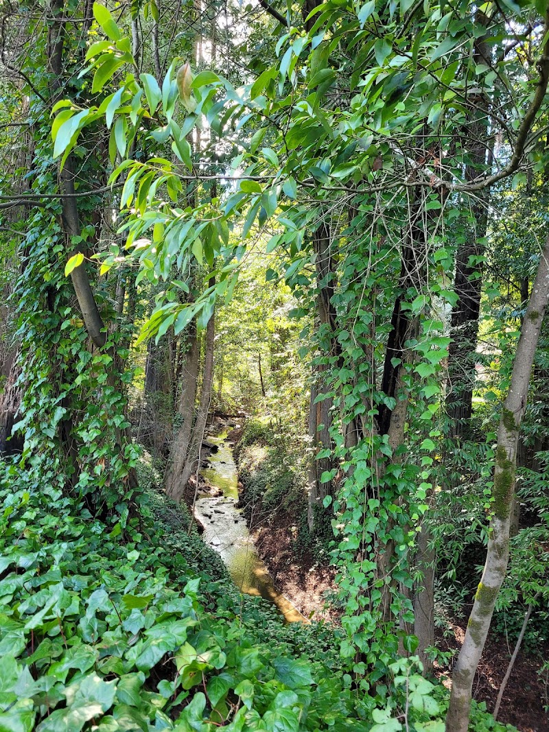 Guerneville River Park photo 5
