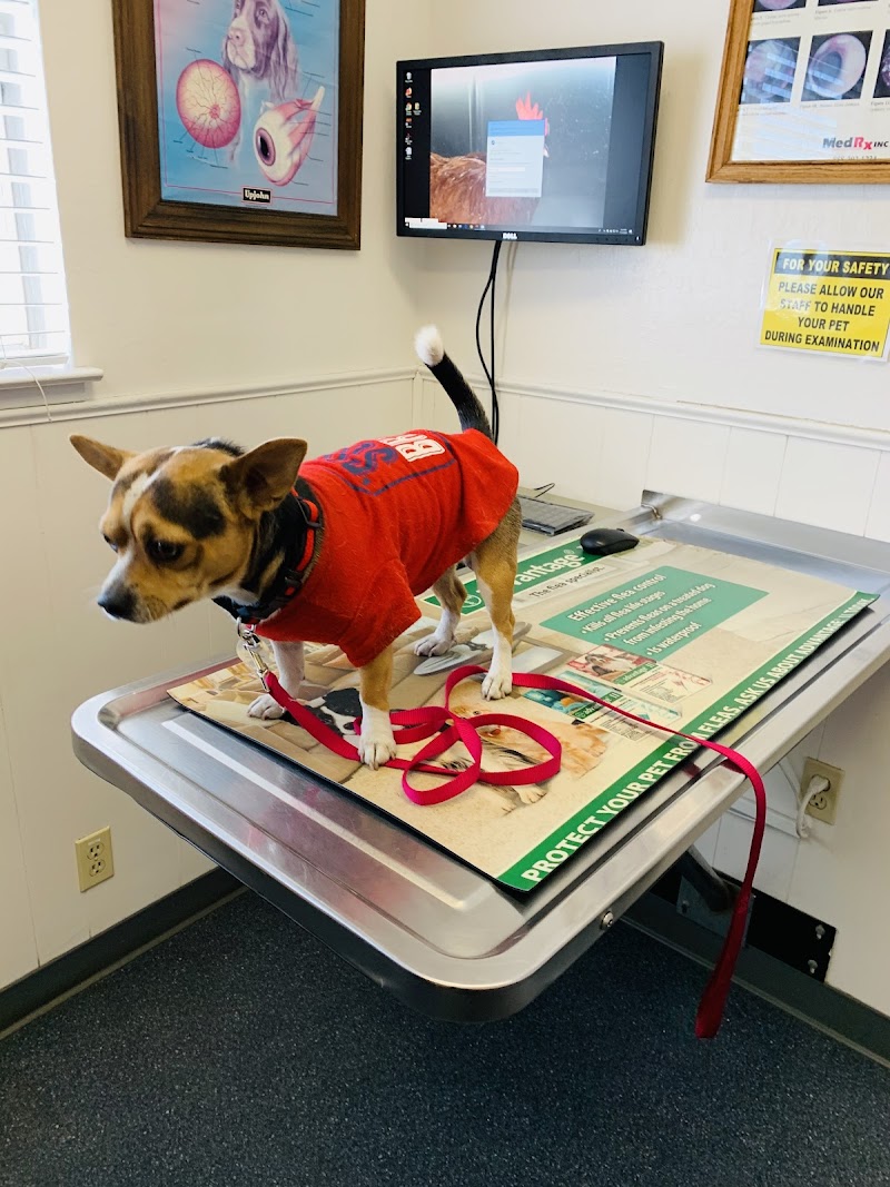 Tail Wag Inn Veterinary Hospital and Boarding Kennel photo 2