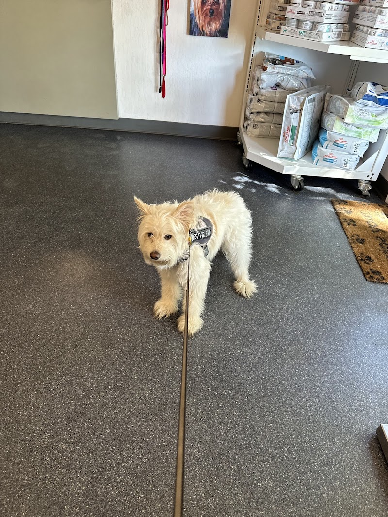 Photo of Tail Wag Inn Veterinary Hospital and Boarding Kennel