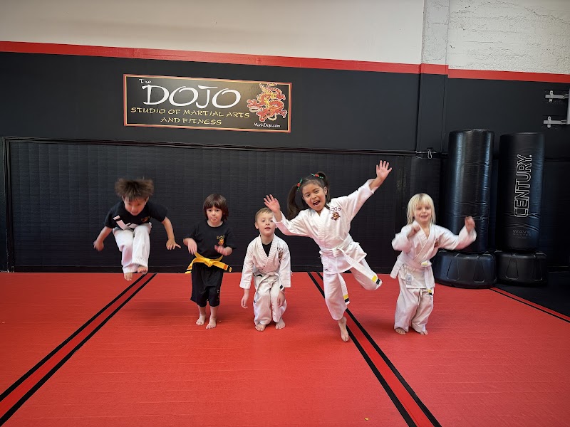 The Marin Dojo, Inc. photo 2