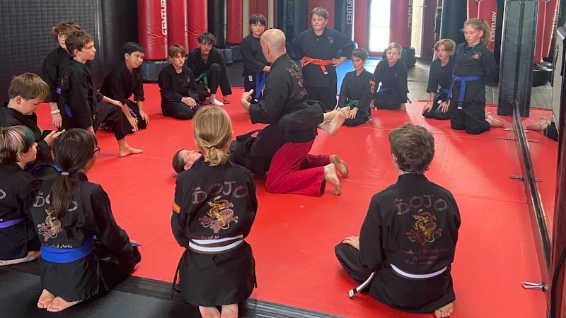 Photo of The Marin Dojo, Inc.