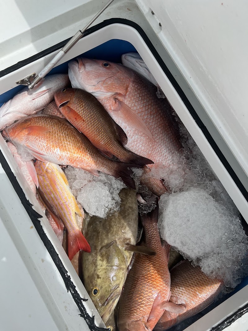Hudson Beach Sportfishing photo 4