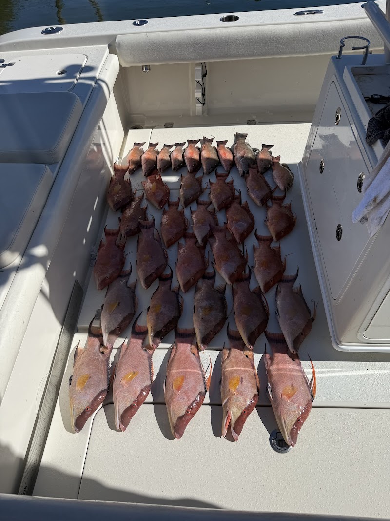 Hudson Beach Sportfishing photo 3