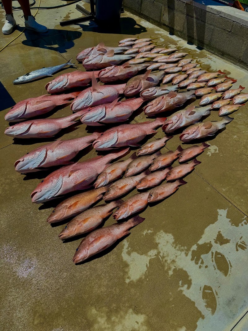 Hudson Beach Sportfishing photo 2