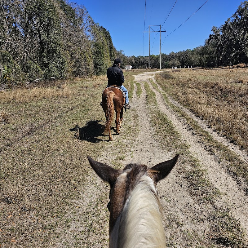Turkey Creek Stables photo 2