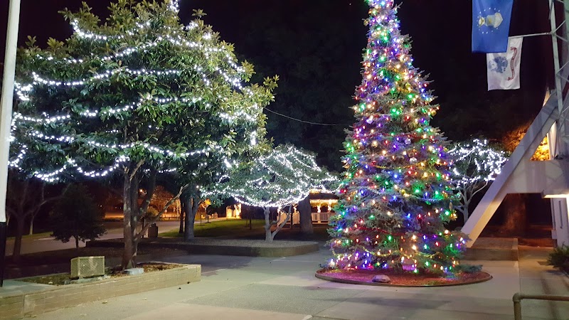 San Bruno Recreation Division photo 2