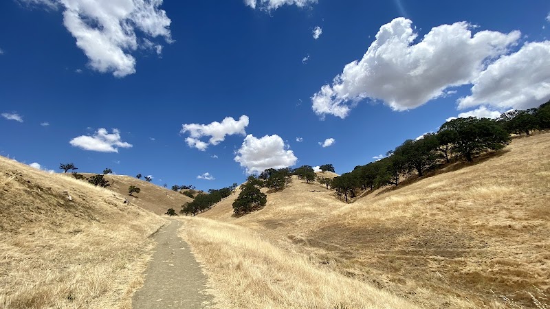 Clayton Community Park photo 4