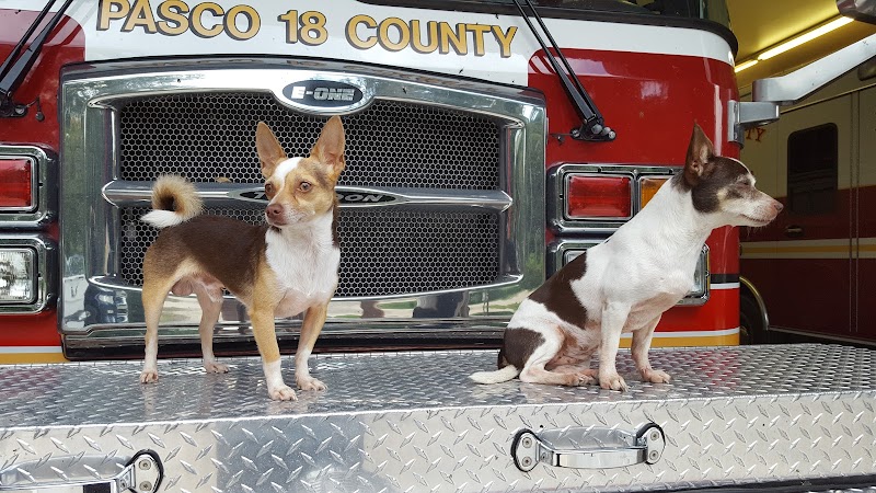 Pasco County Fire Rescue - Station 18 photo 4