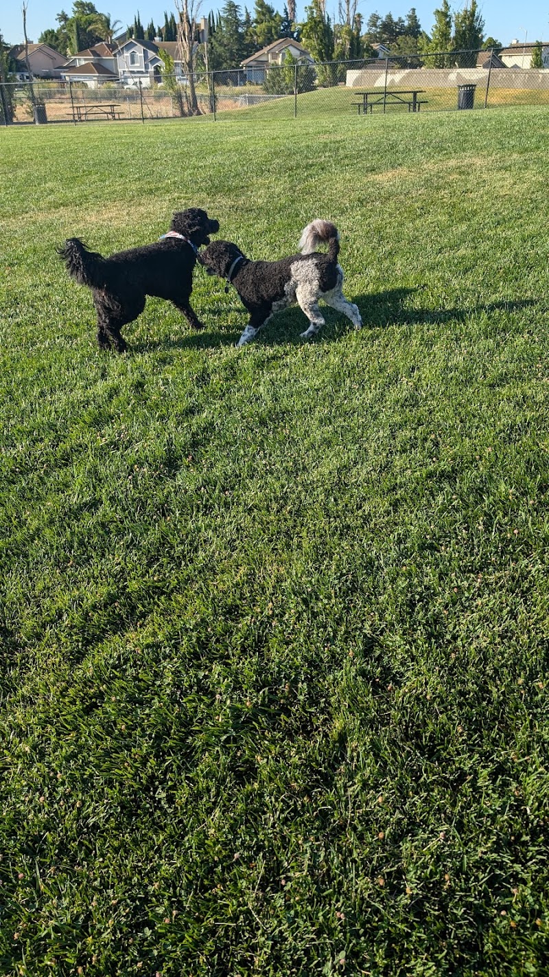 Val de Flores Dog Park photo 2