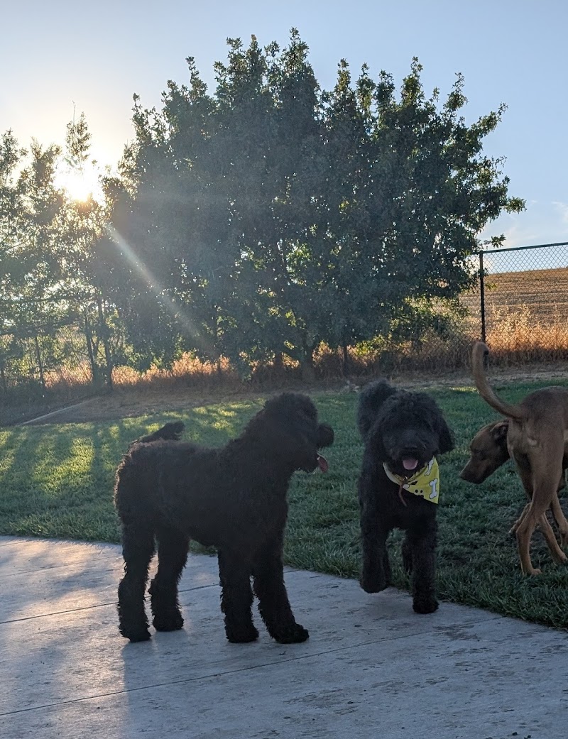Photo of Val de Flores Dog Park