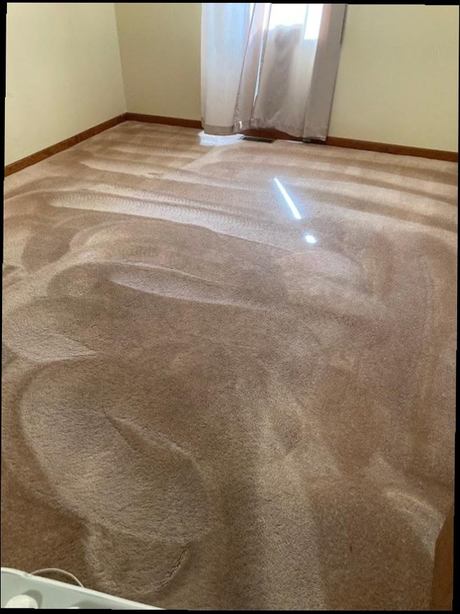 Neil's Carpet Service photo 4