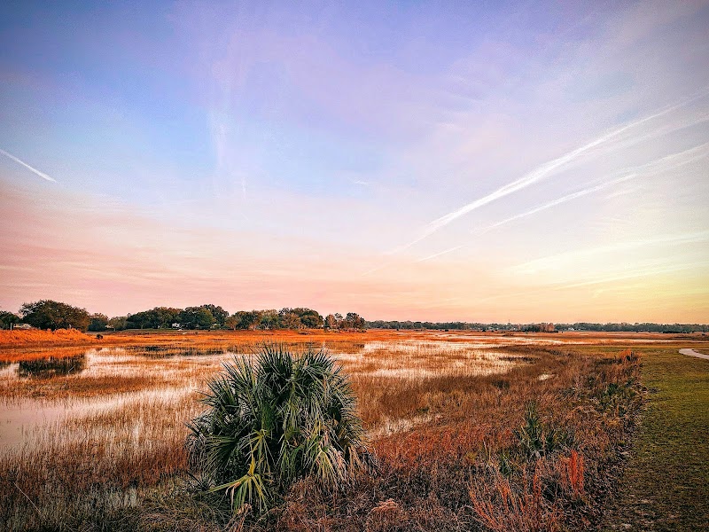 Delta Woods Park photo 3