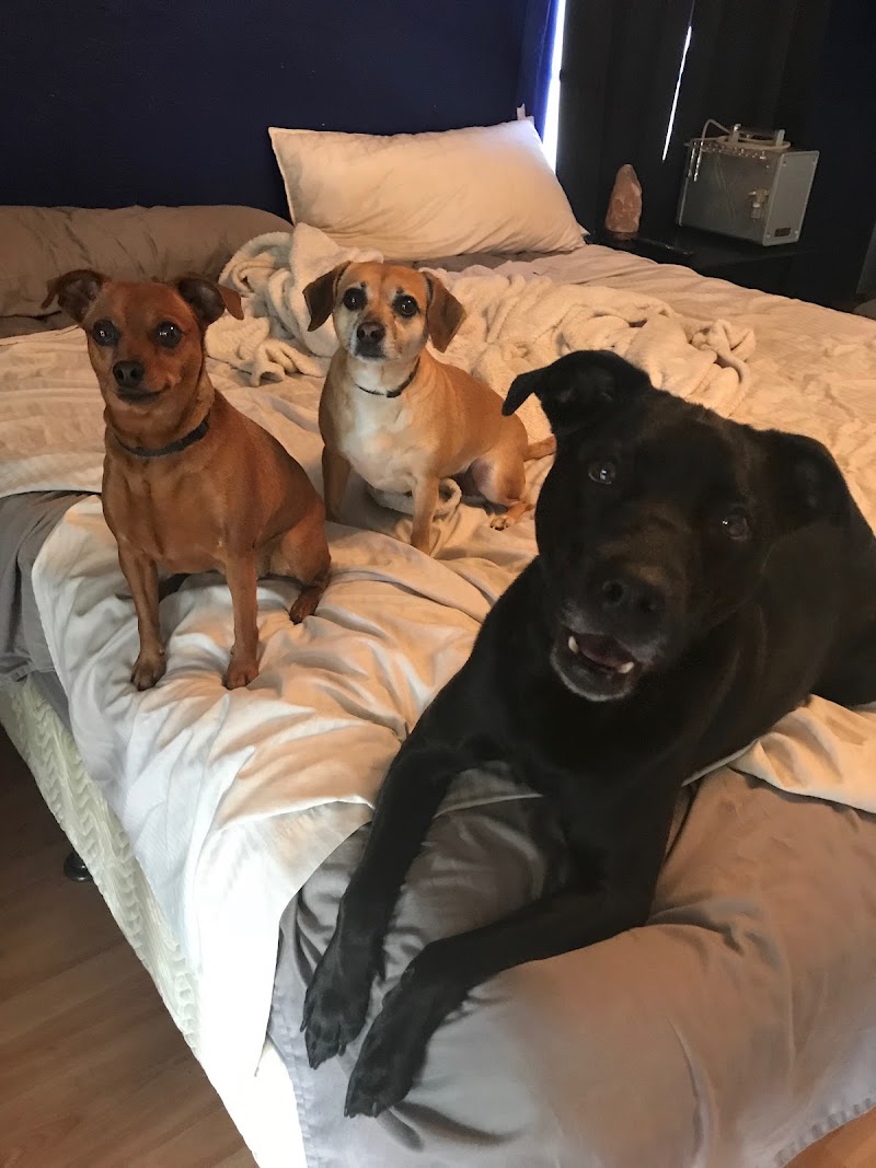 Elite Pet Watchers photo 2