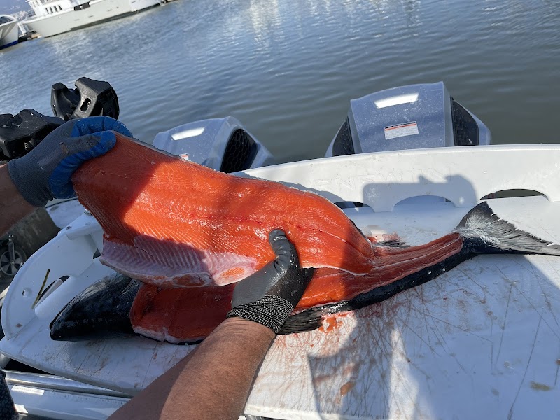 Fish Invader Sportfishing photo 5