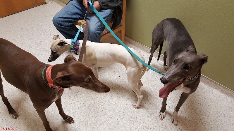 Township Animal Hospital photo 3