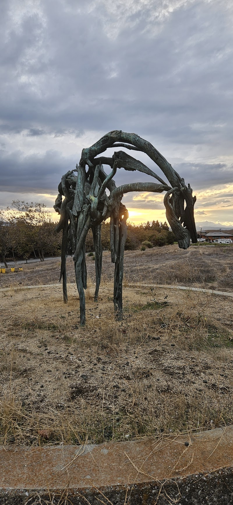 Cast Bronze Horse - By Deborah Butterfield photo 5