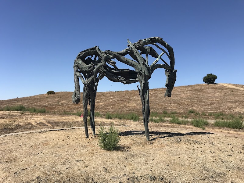 Photo of Cast Bronze Horse - By Deborah Butterfield