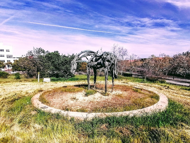 Cast Bronze Horse - By Deborah Butterfield photo 3