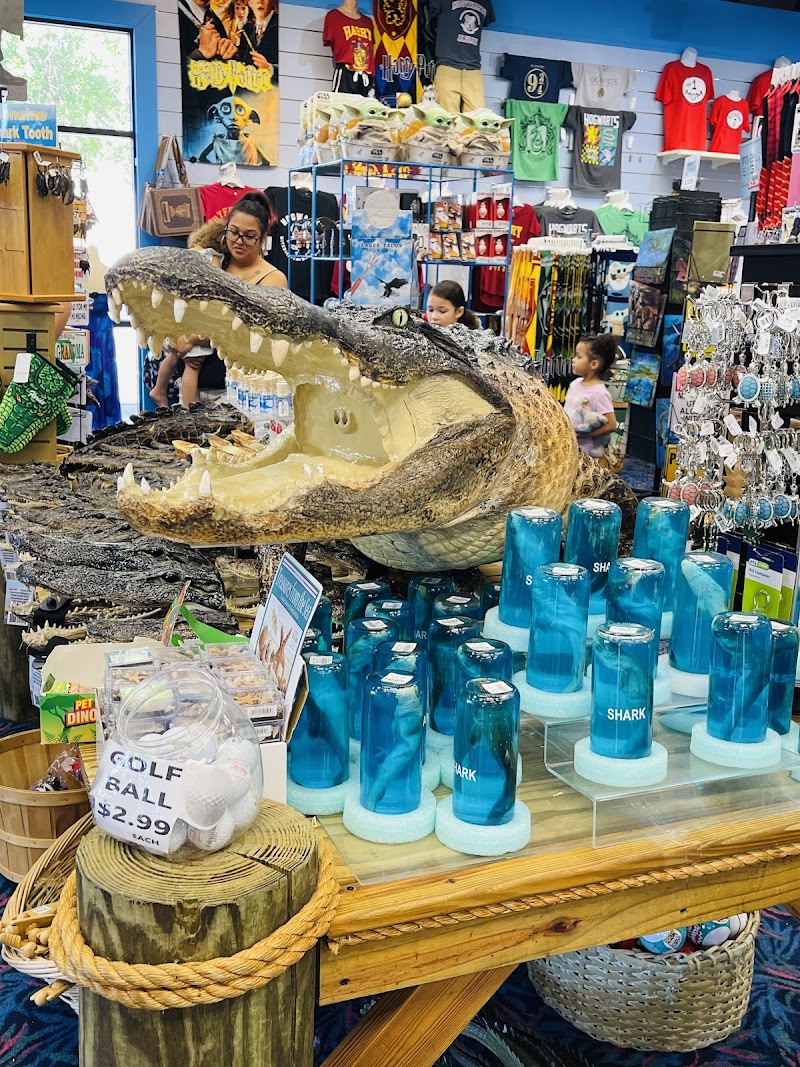 Jungle Falls Gift Shop photo 4