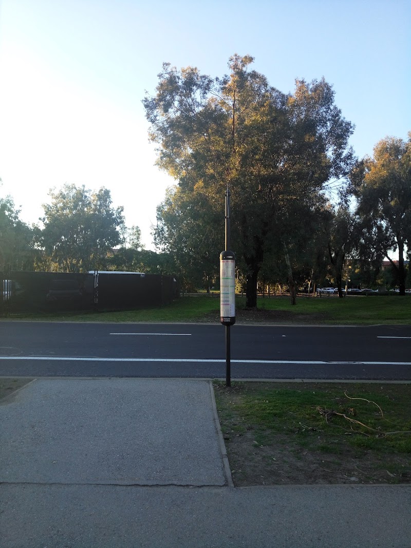 Photo of On Campus Drive @ Serra Street