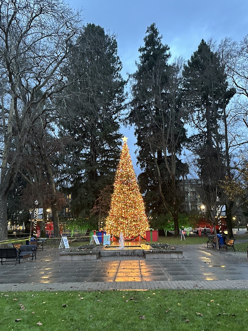 Healdsburg Plaza photo 3