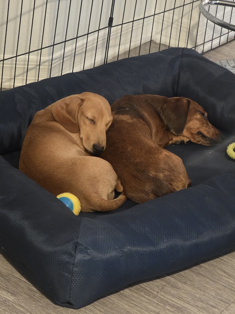 Paws Bay Animal Hospital photo 5