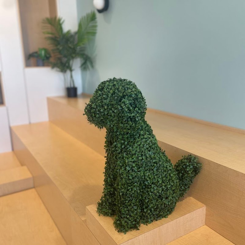 Paws Bay Animal Hospital photo 4