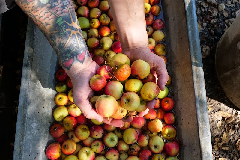 Ethic Ciders photo 2